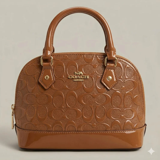 Brown Glossy Bag